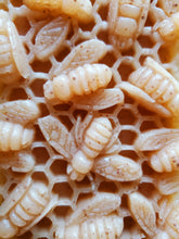 Load image into Gallery viewer, Bee Restored - Honey, Shea Butter, Moroccan Red Clay &amp; Oatmeal - Double Layer Soap
